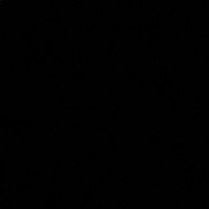 Meet your Posher, Ali